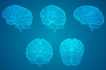 沂源大集时间表