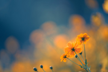 教程开挂辅助“鱼乐达人内购破解版”开挂(透视)辅助教程