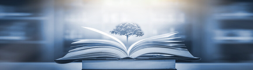 沂源大集时间表