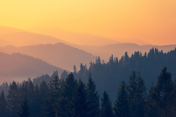 教程分享“wepoker透视脚本免费”原来真可以开挂