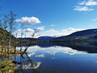沂源大集时间表