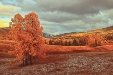 教程分享“微乐小程序辅助器免费2.0”开挂(透视)辅助教程