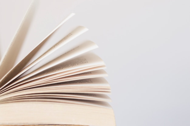 斗罗大陆等级划分