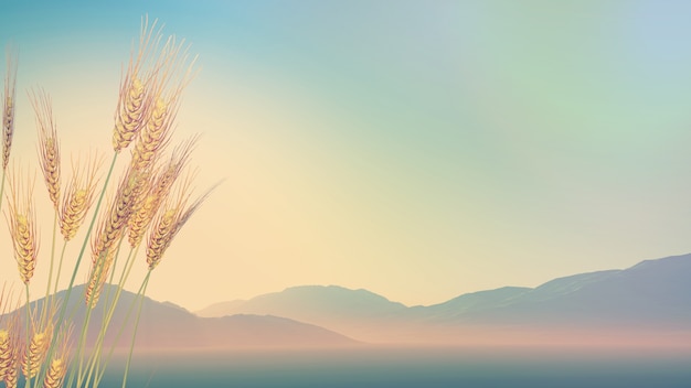 辅助开挂工具“财神十三张辅助器”附开挂脚本详细步骤