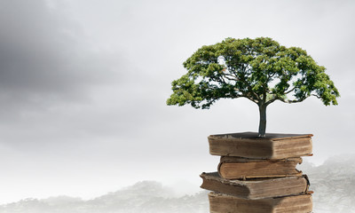 好看的纯爱类动漫分数不低哦 看清要求