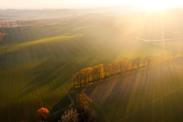 教程开挂辅助“鱼乐达人内购破解版”开挂(透视)辅助教程
