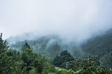 沂源大集时间表